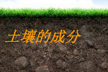 土壤有效磷的測定方法